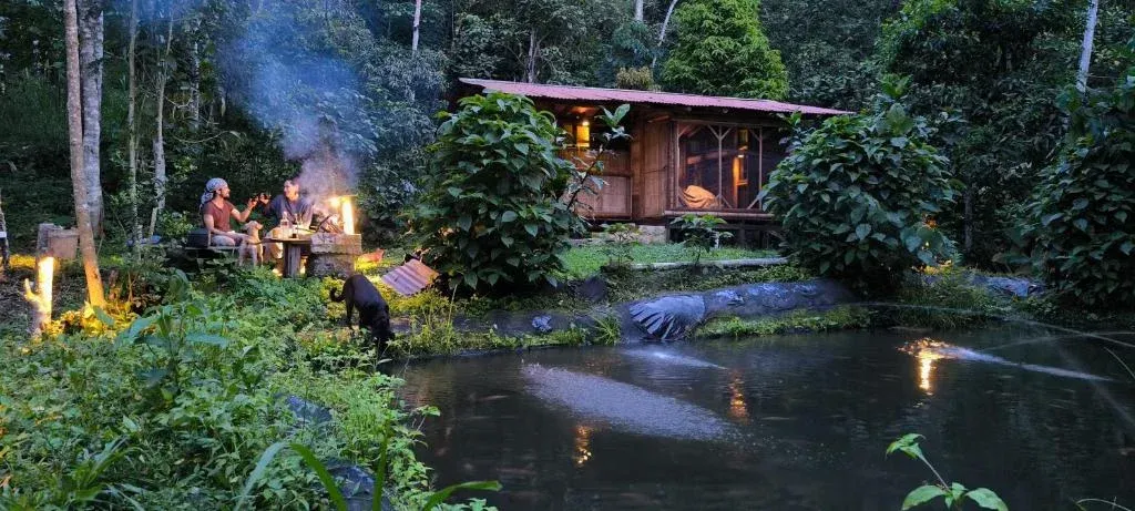 Monte La MaMa - Refugio en el corazón del bosque, Viotá Cundinamarca